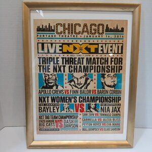 Framed WWE NXT Event Poster